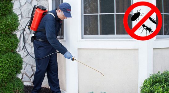 Ulus Kene İlaçlama böcek ilaçlama ve haşere kontrolü — ilaclama-tr.com